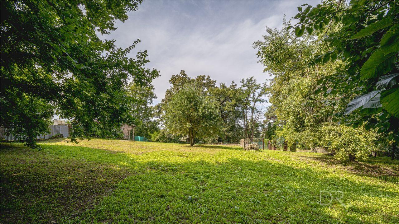 Rekreačný pozemok s vlastným lesom | 4 500 m² | KE - Krásna