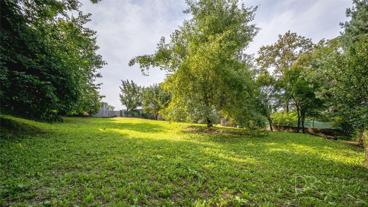 Rekreačný pozemok s vlastným lesom | 4 500 m² | KE - Krásna
