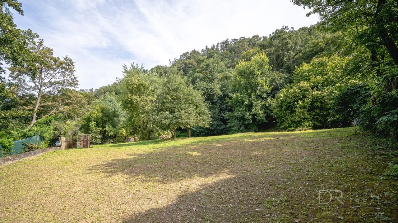 Rekreačný pozemok s vlastným lesom | 4 500 m² | KE - Krásna