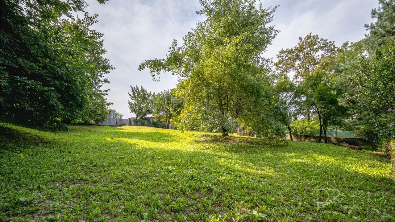 Rekreačný pozemok s vlastným lesom | 4 500 m² | KE - Krásna