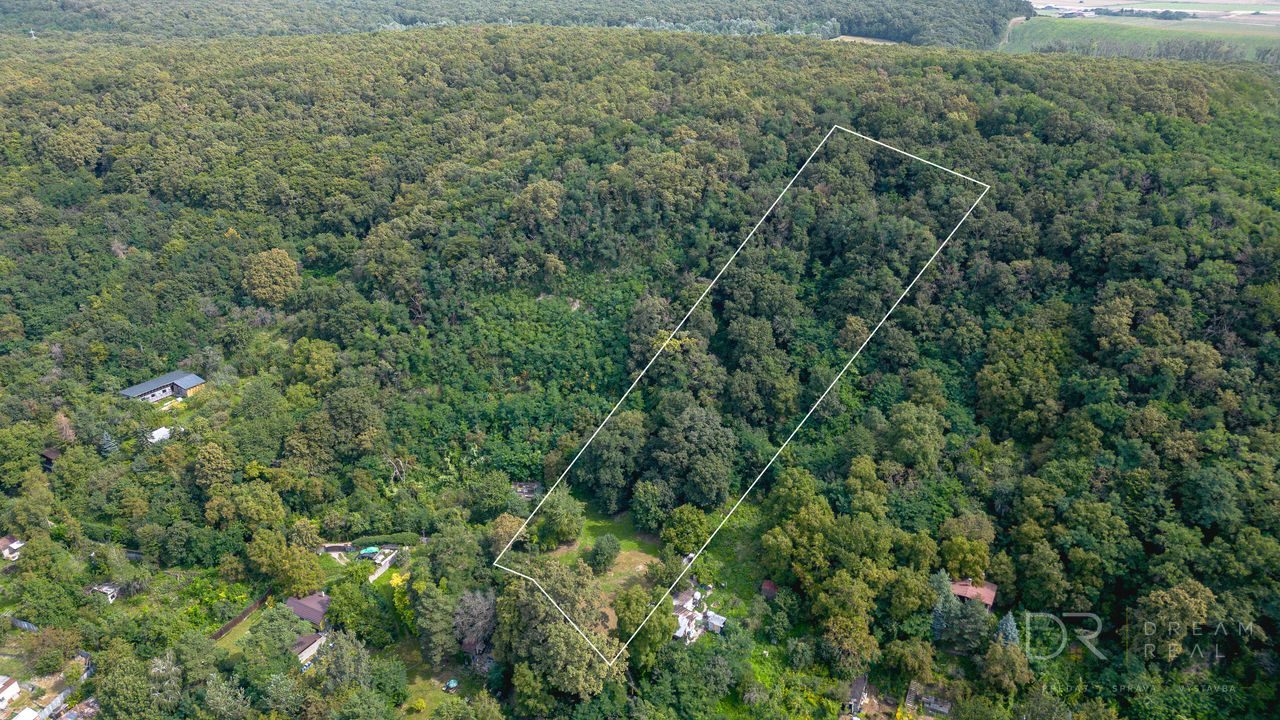 Rekreačný pozemok s vlastným lesom | 4 500 m² | KE - Krásna
