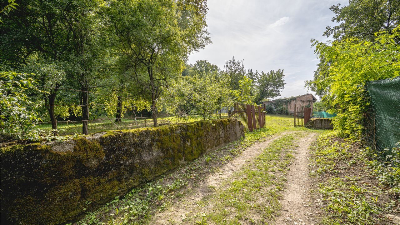 Rekreačný pozemok s vlastným lesom | 4 500 m² | KE - Krásna