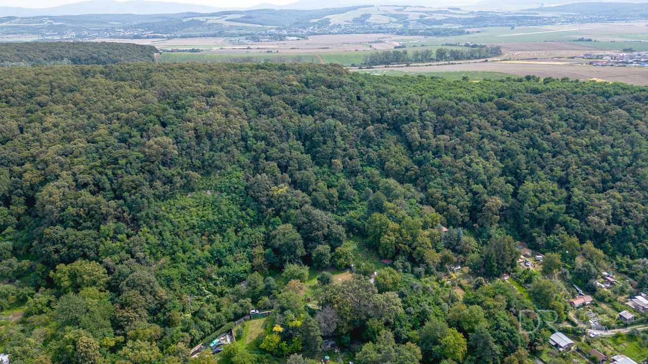 Rekreačný pozemok s vlastným lesom | 4 500 m² | KE - Krásna